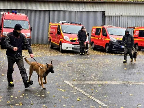 Chez les pompiers de Seine-et-Marne aussi, le chien est le meilleur...