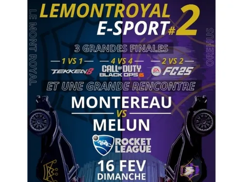 Montereau-Fault-Yonne a désormais son équipe officielle de e-sport