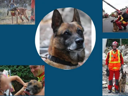 Les pompiers euréliens pleurent un « héros »