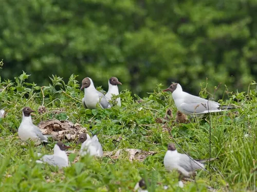 Un espace naturel protégé se révèle en canoë à...