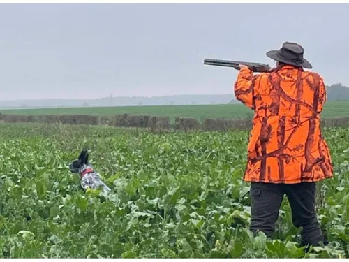 Somme : les chasseurs de gibiers d’eau menacent d’actions contre...