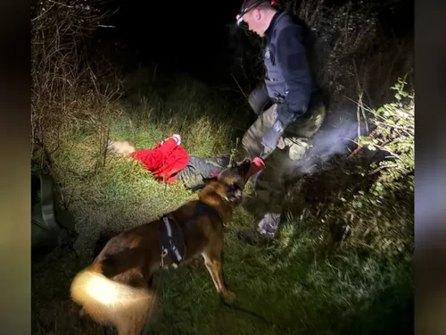 Une nonagénaire sauvée par l'équipe cynophile de la gendarmerie...