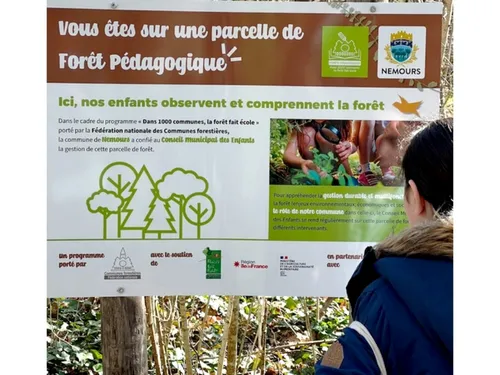 La Seine-et-Marne a sa première forêt pédagogique ! 