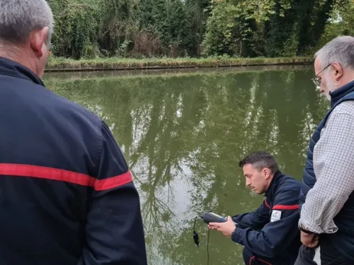 Trois tonnes de poissons introduits dans le canal du Loing