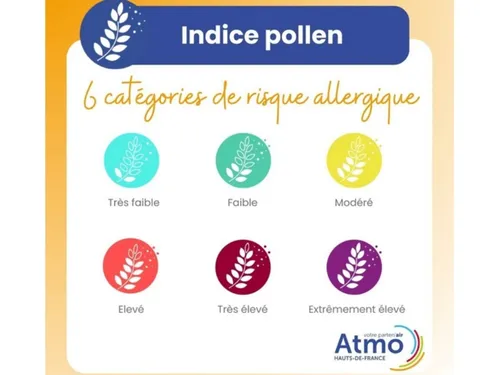 Un nouvel indicateur dédié au pollen dans les Hauts-de-France