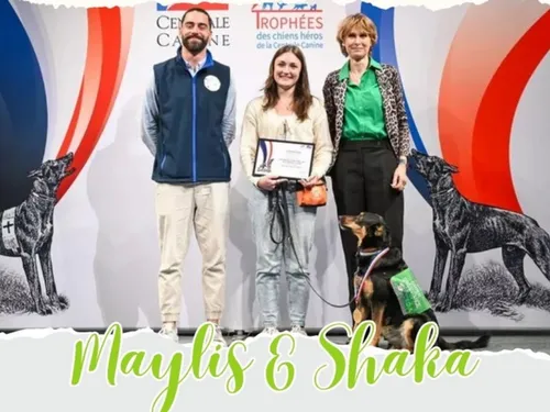 Une chienne seine-et-marnaise récompensée