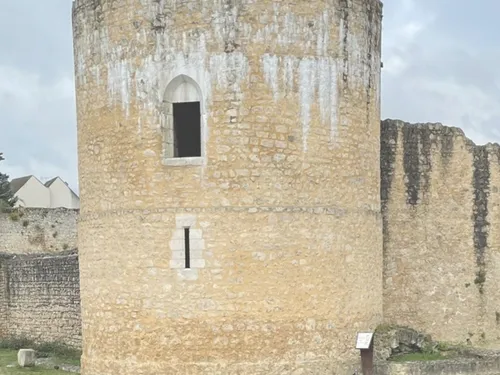 Des jeunes au service de la vieille pierre à Brie-Comte-Robert