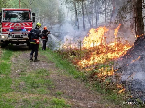 Premier feu de forêt dans l'Oise, derrière la Mer de Sable