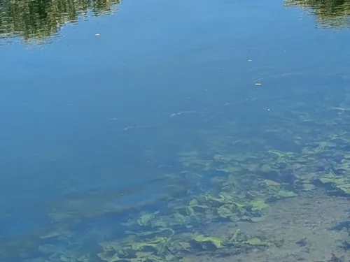 Nord Seine-et-Marne : navigation et pêche interdites dans ces communes