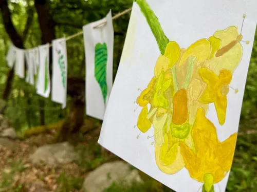 Des écoliers du Vaudoué ont cours à ciel ouvert