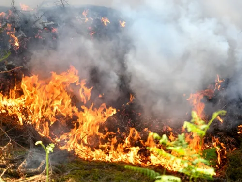 Presque 260 pompiers seine-et-marnais ont lutté contre un feu en...