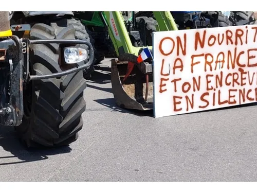 Un bras de fer sur fond de dermatose nodulaire