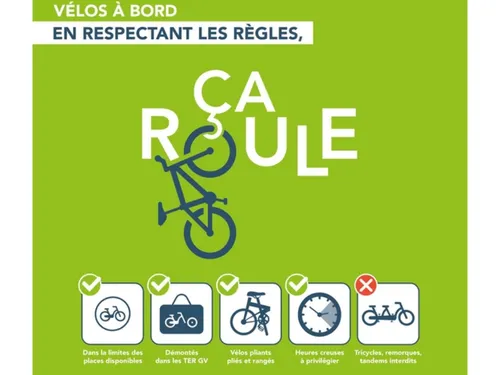 Les voyageurs de TER dans les Hauts-de-France vont devoir réserver...