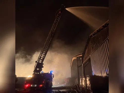 Oise : 140 vaches sauvées des flammes 