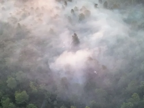 La forêt d’Ermenonville ravagée par un incendie dimanche
