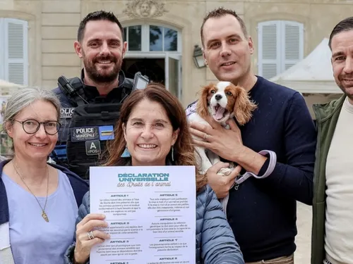 Chats et chiens ont désormais plus de droits à Morsang-sur-Orge