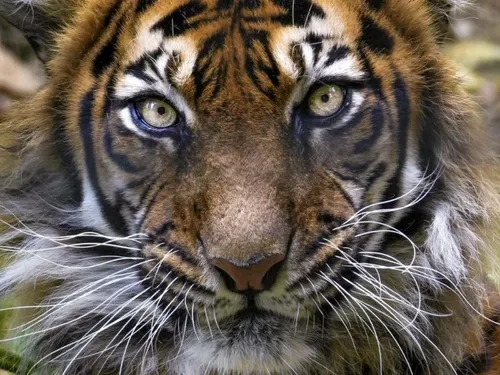 Seine-et-Marne : 6 millions de visiteurs dans le département cet été