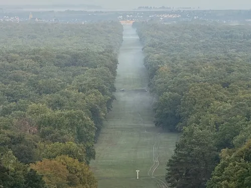 Compiègne : l'allée des Beaux-Monts débarrassée de ses arbres morts