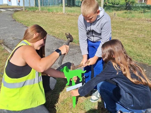 Ham : mais qui en veut aux projets des enfants ?