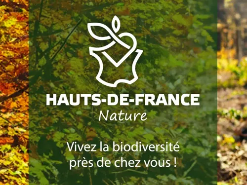 L'automne invite à la balade dans les Hauts-de-France