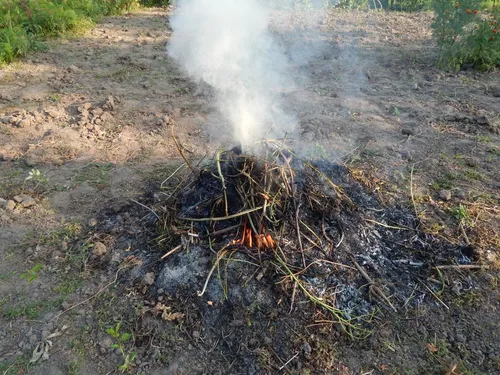 Dans les Hauts-de-France, brûler ses déchets verts peut coûter cher 