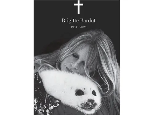Brigitte Bardot : des obsèques sobres à Saint-Tropez