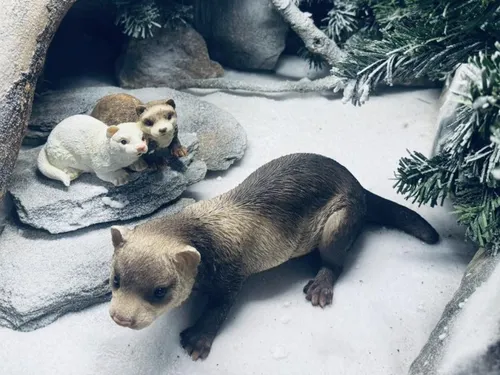 Le parc Edentara rouvre après sa métamorphose à Isles-les-Meldeuses