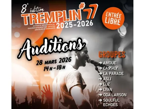 La finale du Tremplin musical de Seine-et-Marne aura lieu samedi à...