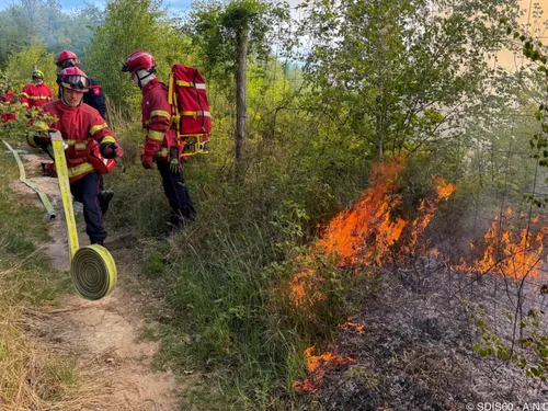 Un feu de végétation mobilise une centaine de pompiers dans l’Oise