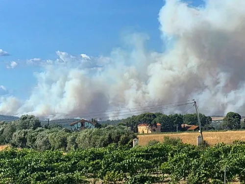Le premier bilan des incendies en France est inquiétant