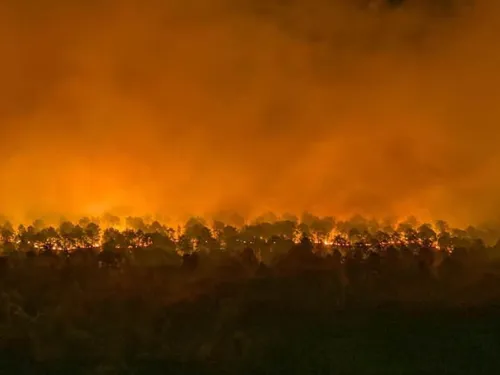 Trois reprises de feu « modérées » en forêt de Fontainebleau,...