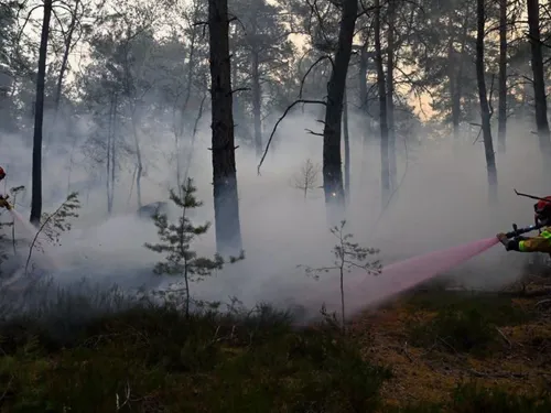 Incendie de Fontainebleau : la Région annonce six mesures pour...