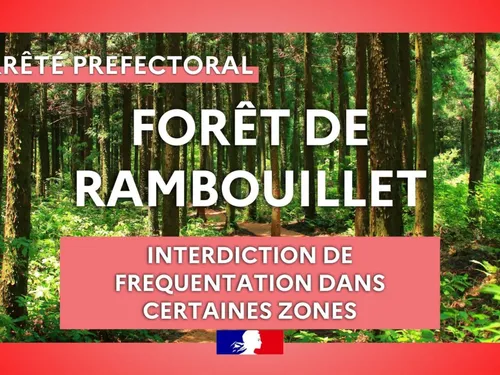 Yvelines : les autorités vous recommandent de ne pas sortir en forêt