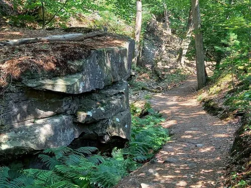 La réouverture de la forêt de Fontainebleau se poursuit