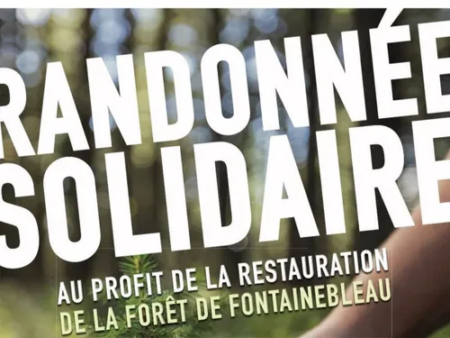 Belle mobilisation dans le nord Seine-et-Marne pour la forêt de...