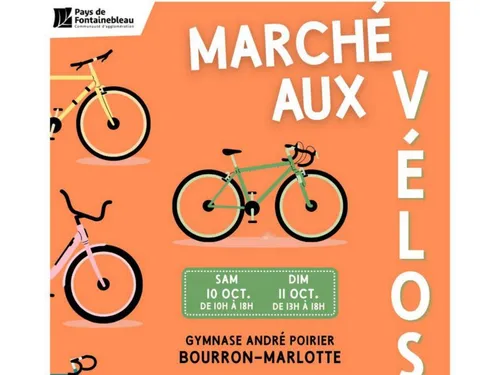 Le vélo, un moyen de transport économique et écologique dans le sud...