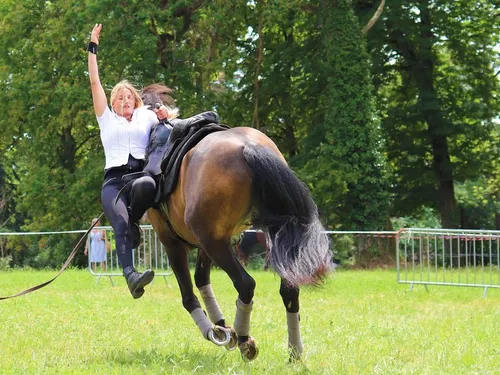 À Thiron-Gardais, la fête de l’automne innove avec un spectacle...