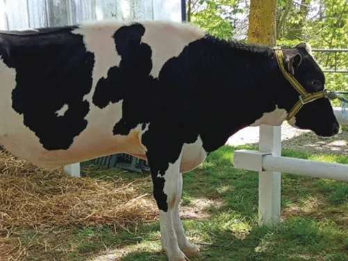La 30ème édition de la foire agricole aura lieu lundi 10 avril à...