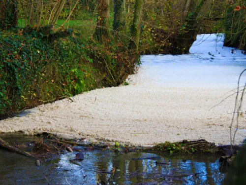 La rivière de l'Aubetin touchée par un épisode de pollution