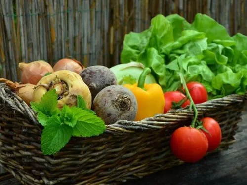 Une grande halle pour les produits locaux à Montévrain 