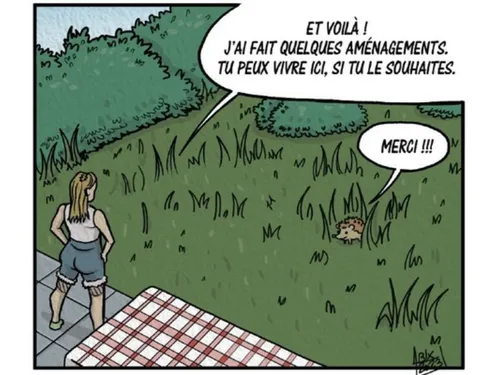 Les « super-espèces » des Hauts-de-France regroupées dans une...