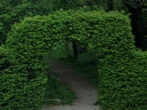 Un sexagénaire condamné pour exhibition sexuelle dans le bois...