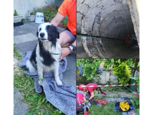 Amblainville : les pompiers secourent un chien tombé dans un puits...