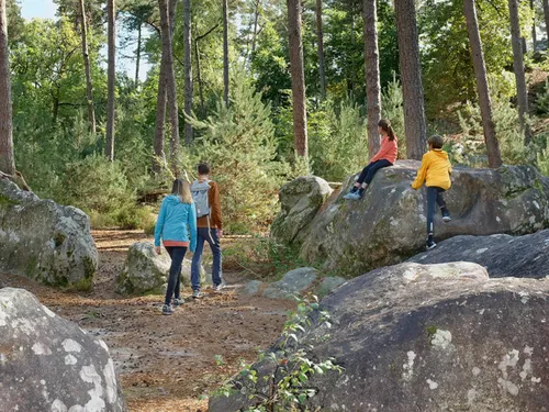 Avec les beaux jours, l’occasion de se balader en forêt est belle