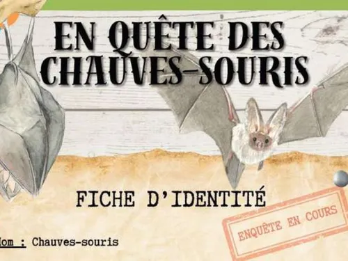 Les chauves-souris recensées en Île-de-France