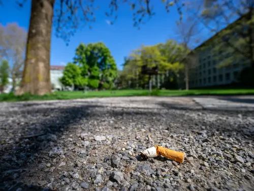 Celle-Saint-Cloud : un homme arrêté pour avoir jeté sa cigarette...