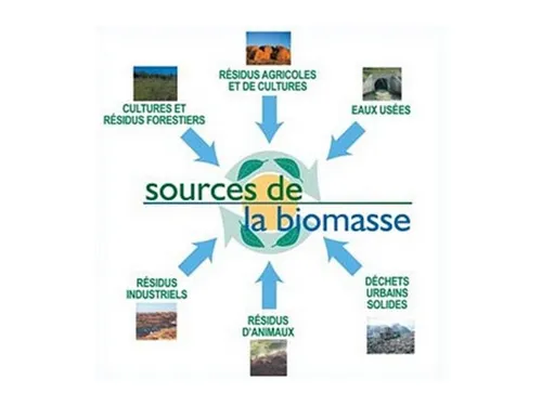 La filière bioénergies peut mieux faire en Seine-et-Marne