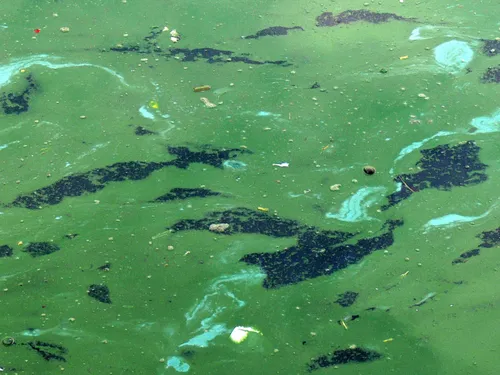 Le bassin de l'Orge contaminé 