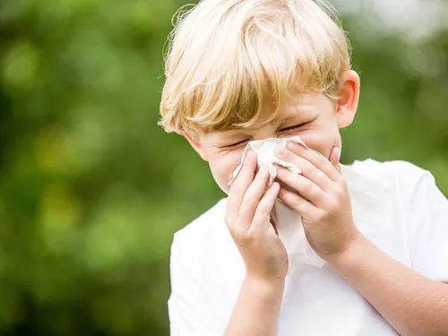 La Seine-et-Marne passe en phase épidémique pour la grippe