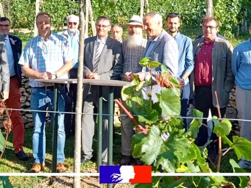 En Île-de-France, l'Etat reconduit son soutien aux agriculteurs 